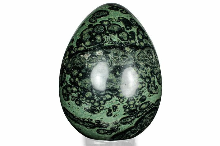 Polished Kambaba Jasper Egg - Madagascar #323080